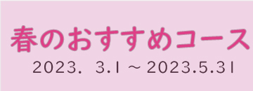 t̂߃R[X
